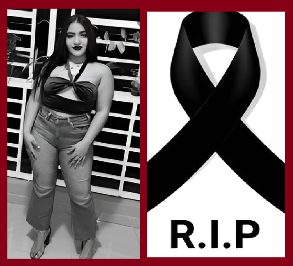 Llegó hace unas horas