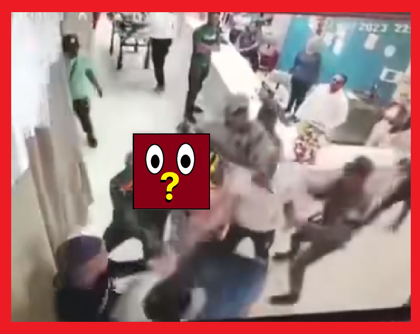 Dos gallos de calidad