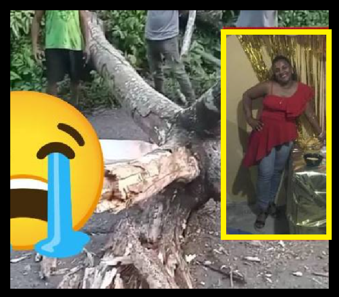 Minerva Alejo Sánchez