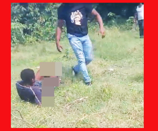 CON LAS MANOS EN LA MASA