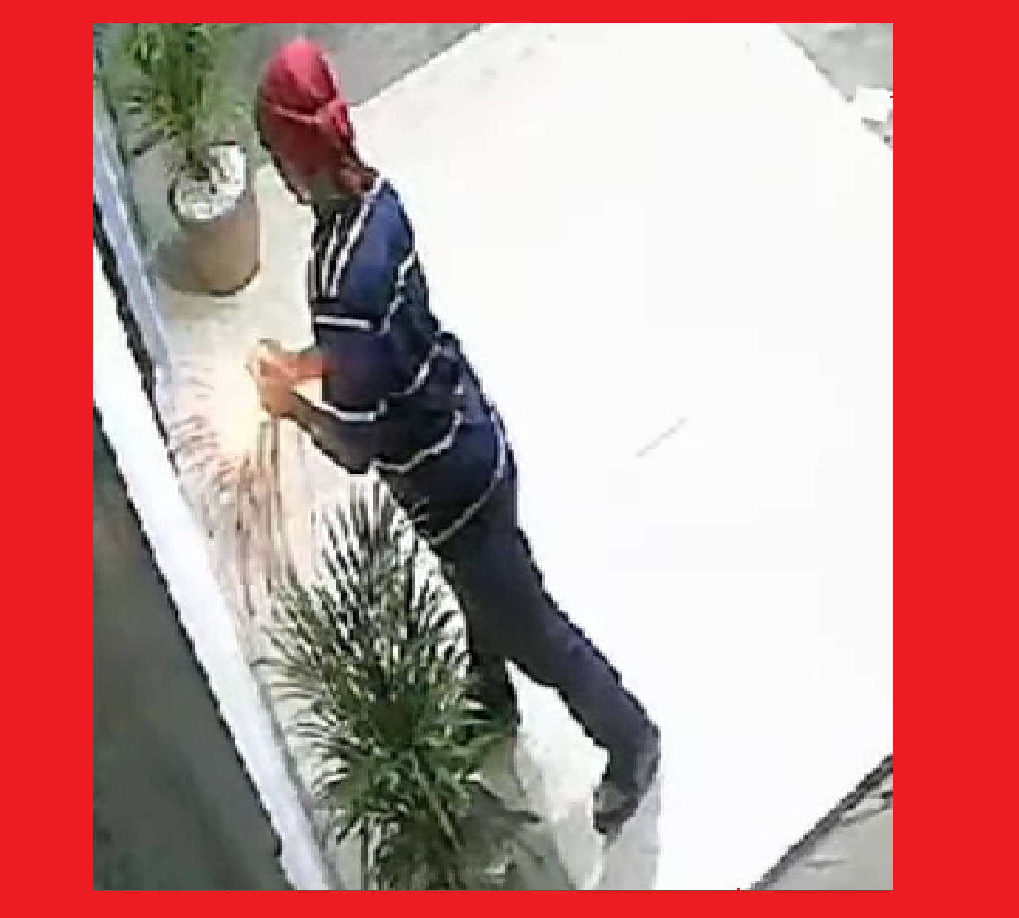 CAPTADO EN CAMARA