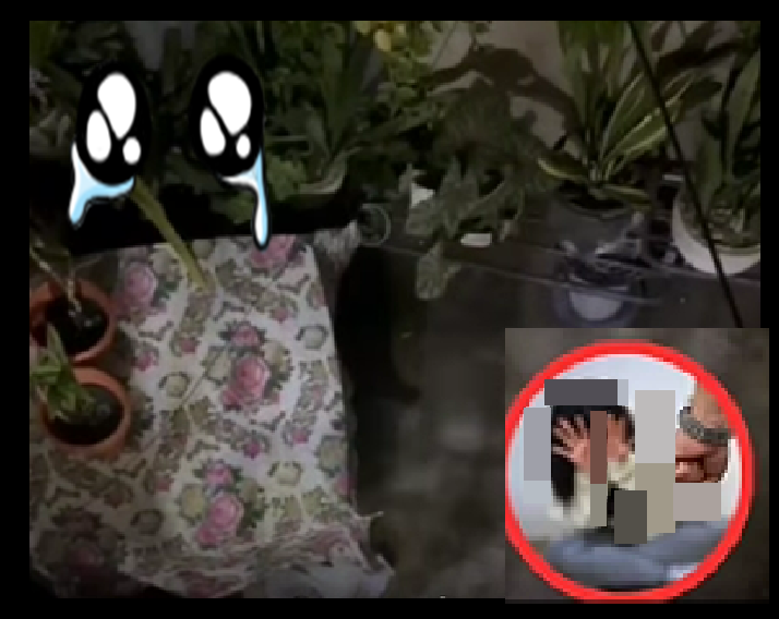 PIDEN LA INTERVENCION RAPIDA