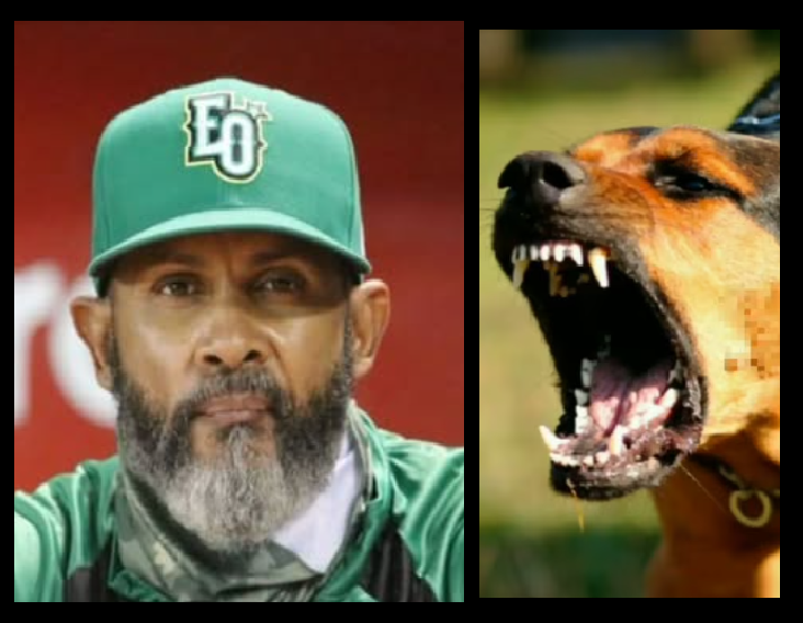 FERNANDO TATIS ES ATACAD0