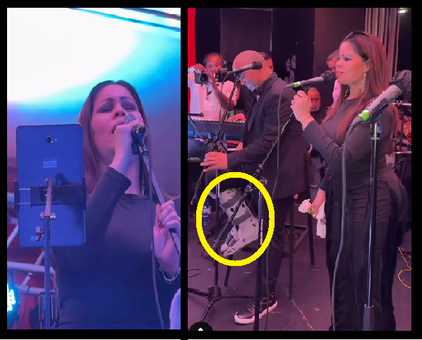 LO QUE NO VISTE DE LA PRESENTACION