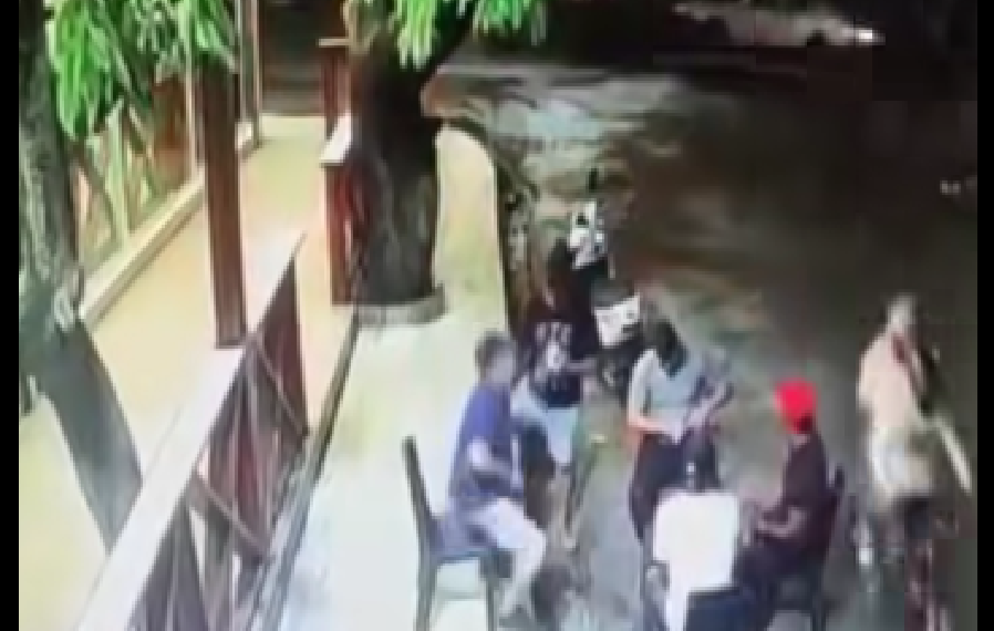 LOS DUEÑOS DEL PAÍS