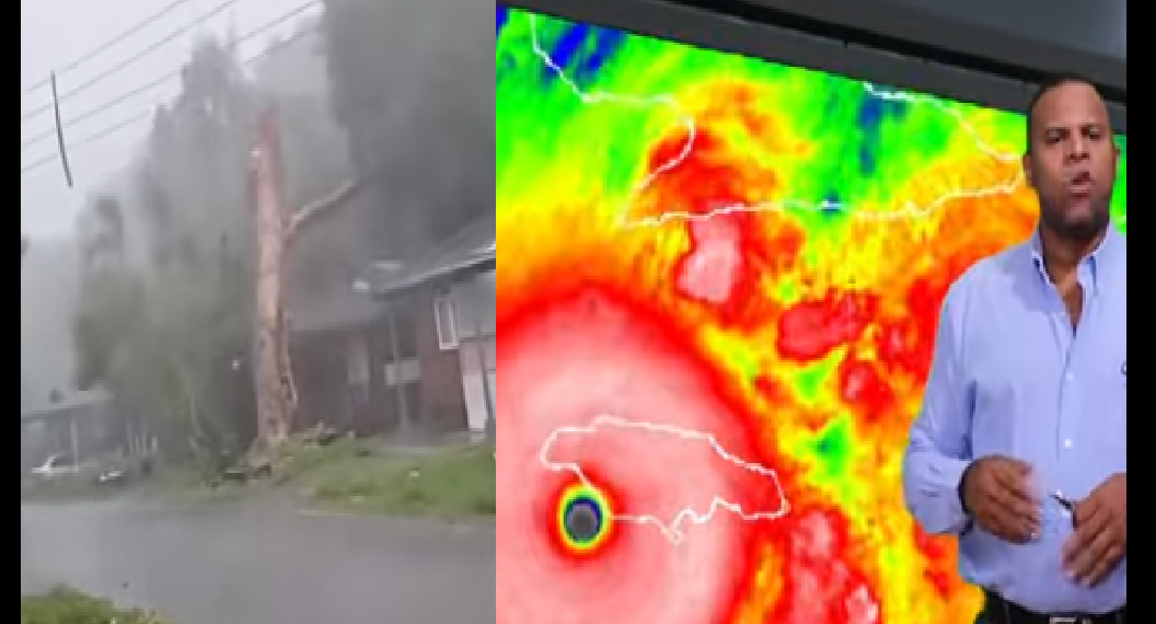 MELISSA ES CATASTROFICA