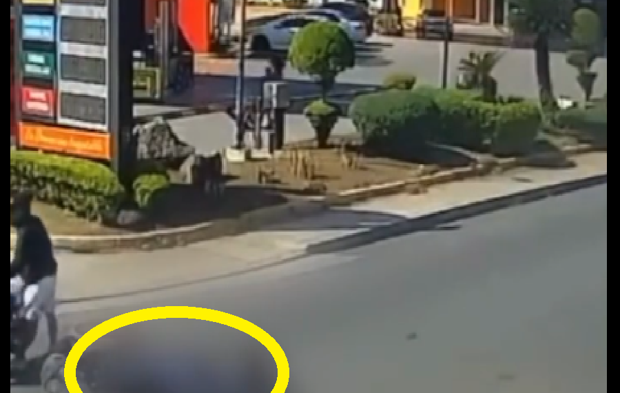 NOS LLEGA EL VIDEO DEL CASO