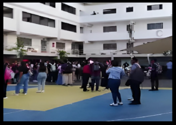 LO QUE NO VISTE DEL CASO