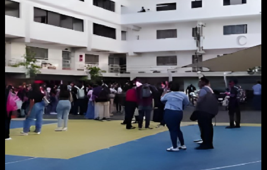 LO QUE NO VISTE DEL CASO