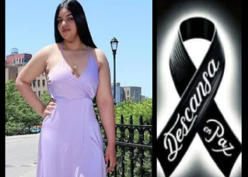 DE RAICES DOMINICANAS