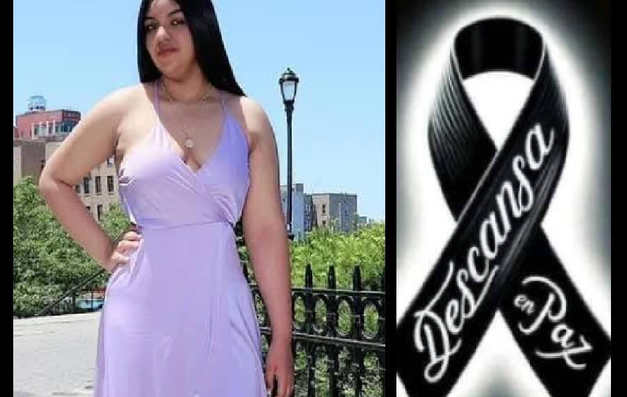 DE RAICES DOMINICANAS