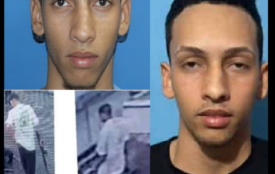 BUSCAN A LOS ANGELITOS