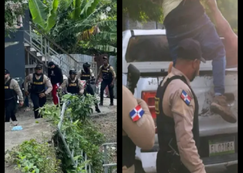 LA DNCD ACABANDO CON TODO