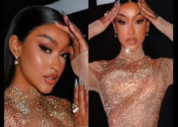 NUEVO PROYECTO DE LA PERVERSA