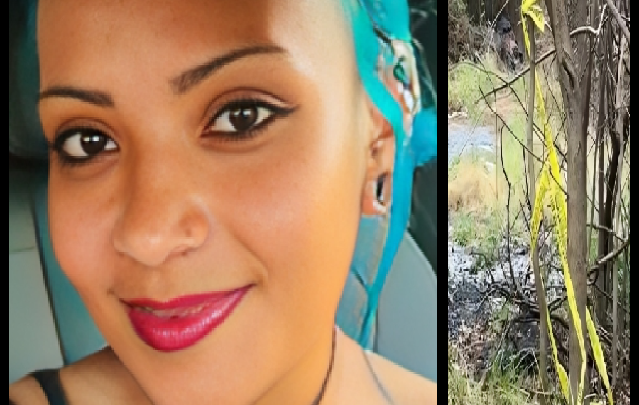 UNA MADRE EN BUSCA DEL SUEÑO