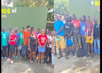 OTRO GRUPO DE INVASORES