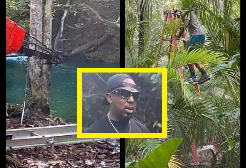 ENTERATE DE TODO DEL NUEVO RELITY DE NASTRA