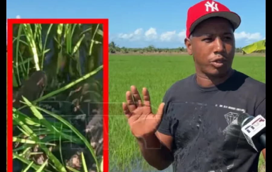 SALIERON CORRIENDO CUANDO LA VIERON