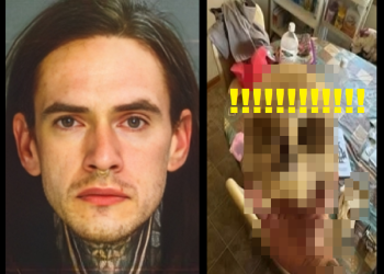 LA CASA LLENA DE HUES0S