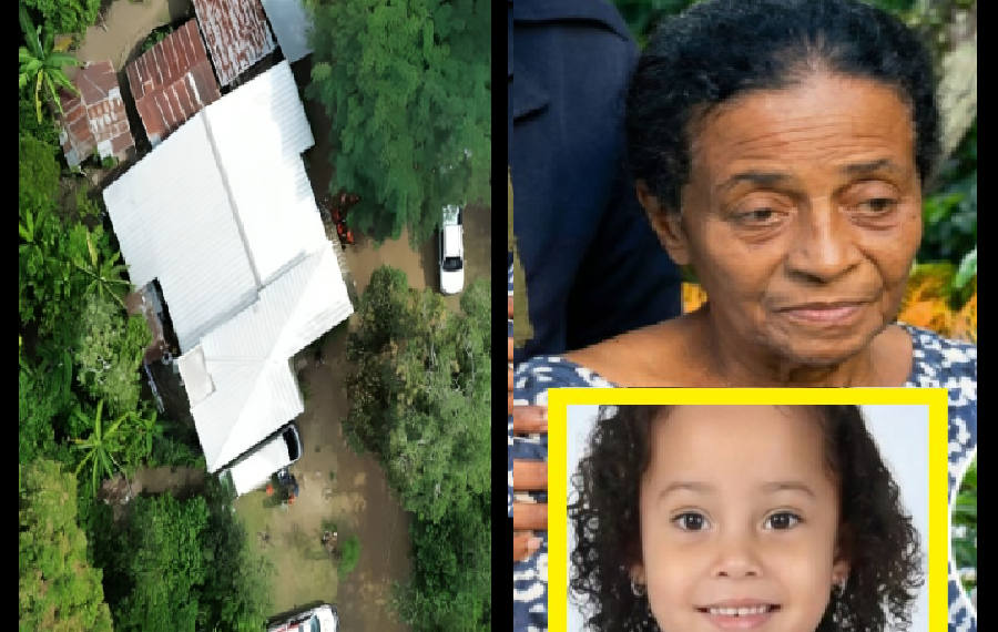 ACABAN DE ALLANAR LA CASA DE AL ABUELA