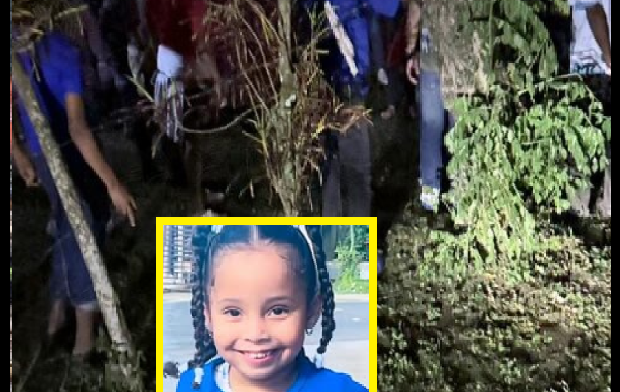 AHORA SE INTENSIFICA LA BUSQUEDA