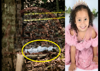 ENVUELTO EN UNA SABANA BLANCA