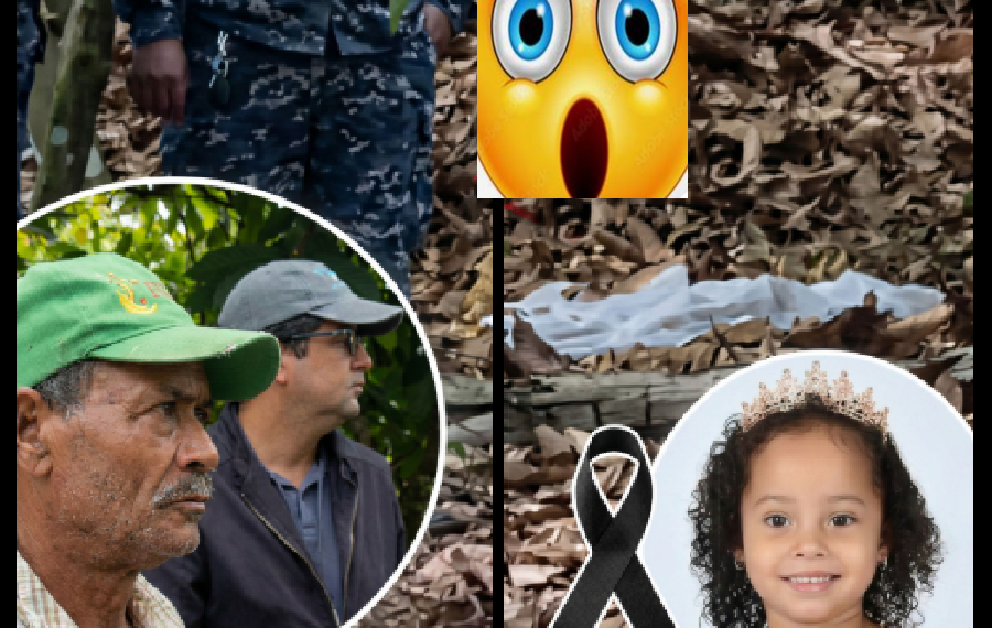 “SI BRIANNA AHÍ ESTA, LA TIRAR0N”