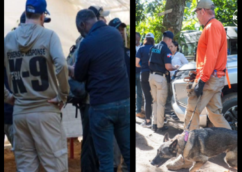 EL AGENTE QUE TUVO EL PERCANCE BUSCANDO A BRIANNA