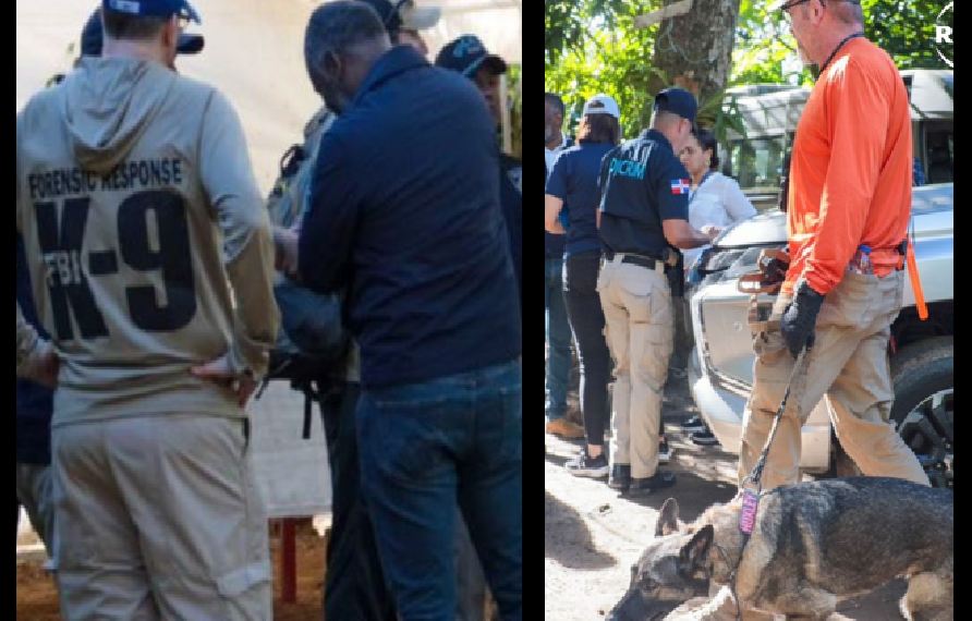 EL AGENTE QUE TUVO EL PERCANCE BUSCANDO A BRIANNA