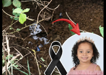 HALLAN UN SACO CON MAL OLOR BUSCANDO A BRIANNA