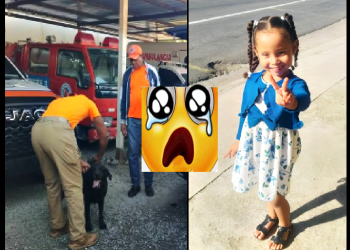 EL CASO PARTE EL ALMA