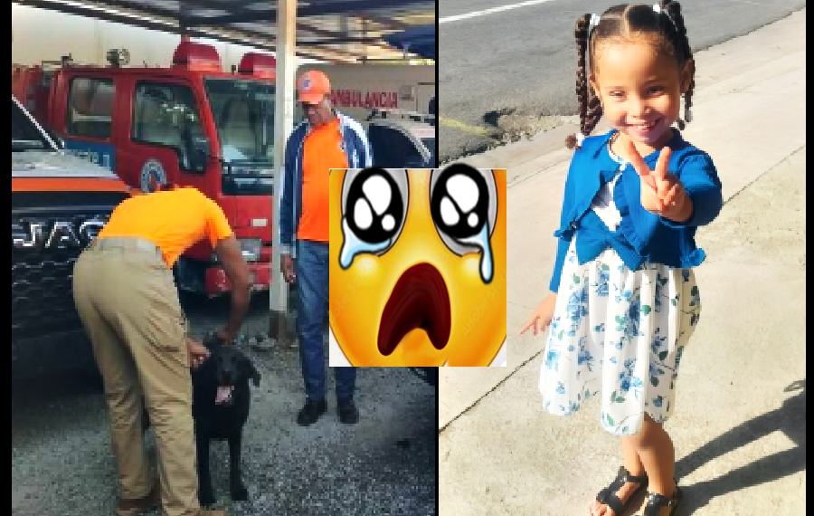 EL CASO PARTE EL ALMA