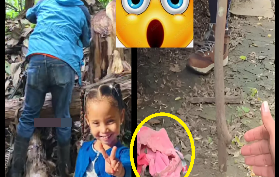 ENCUENTRAN UNA PRENDA ROSADA