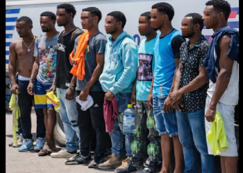 GRAN GRUPO DE MOLENOS